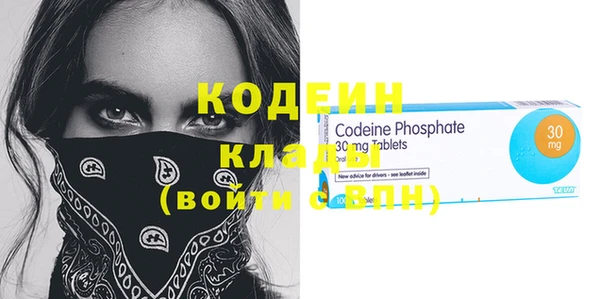 шишки Магас