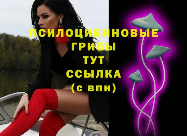 шишки Магас