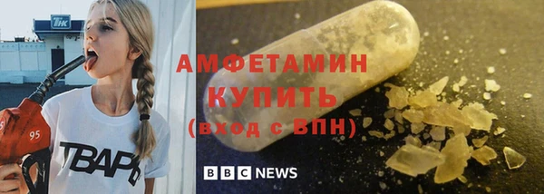 шишки Магас