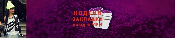 шишки Магас