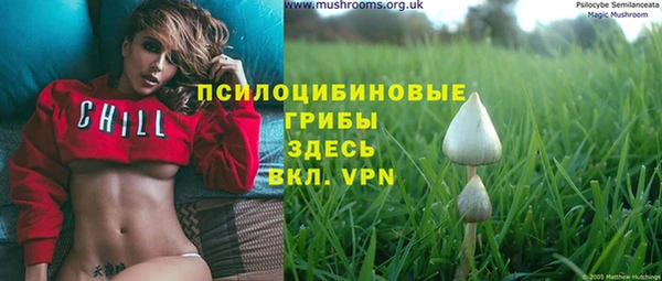 ешки Майский