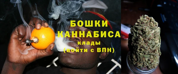 шишки Магас