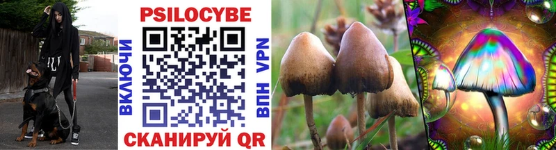 Псилоцибиновые грибы ЛСД  Купить где  Салаир 